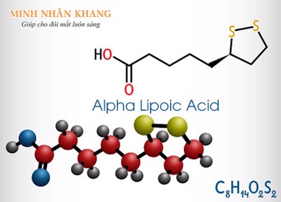 Alpha lipoic acid - chất chống oxy hoá mạnh